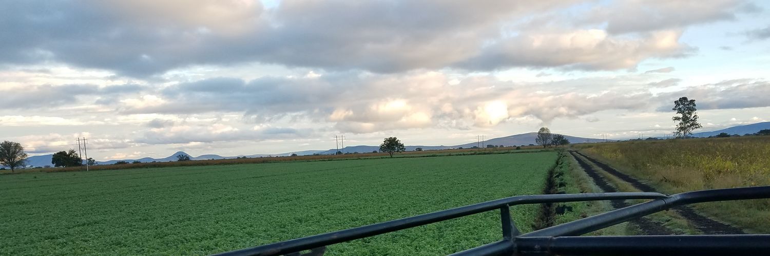 pepekuun's profile banner image