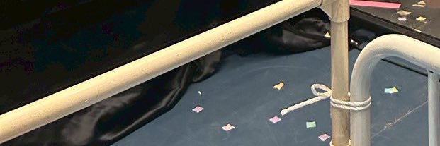 🐶 banner