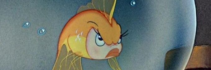 queen of cool banner