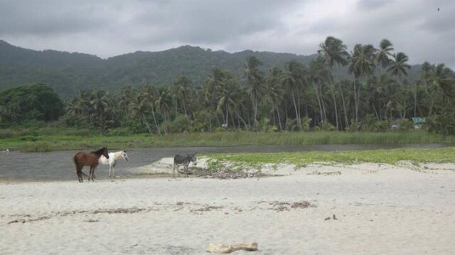 Mariano Lunasco banner