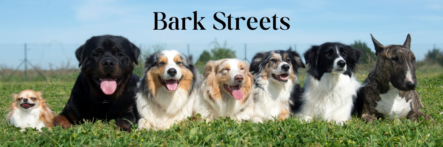Barkstreets's profile banner image