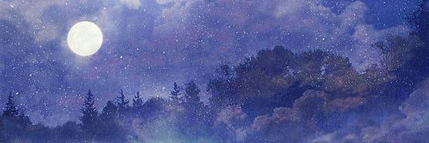 bassdropbs's profile banner image