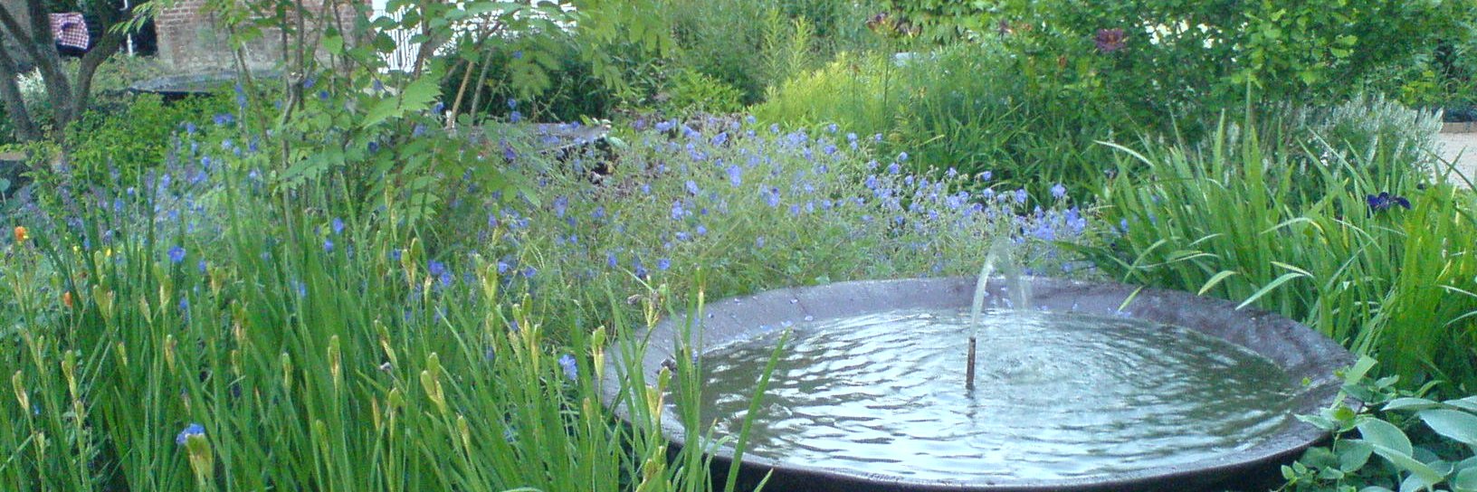 Ann Stapleton banner