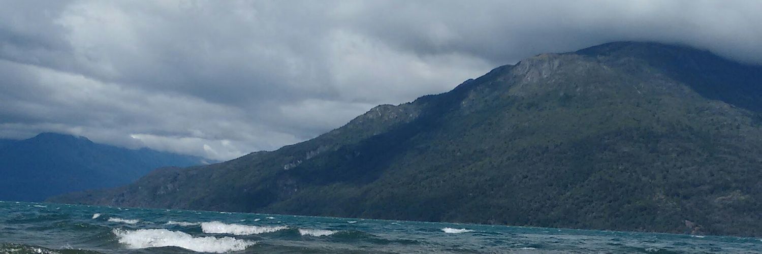 arevikojunian's profile banner image