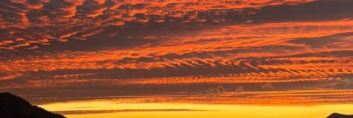 Fernand15913404's profile banner image