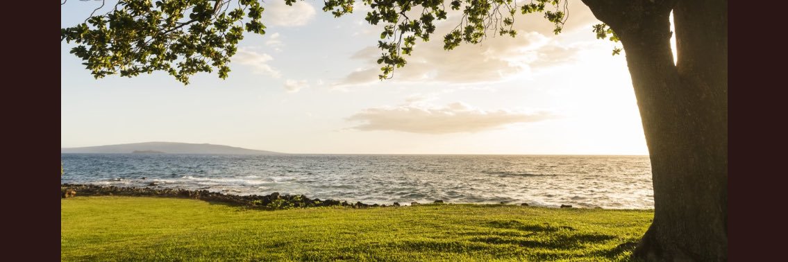 sockmonkeydiva's profile banner image