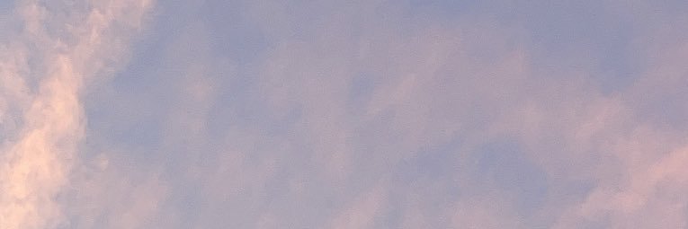 ohjustcarrie's profile banner image