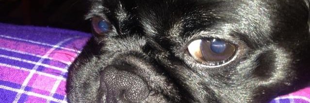 HellCat_76's profile banner image