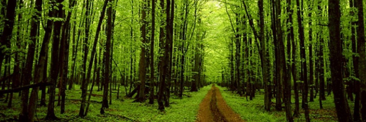 heatherspires's profile banner image