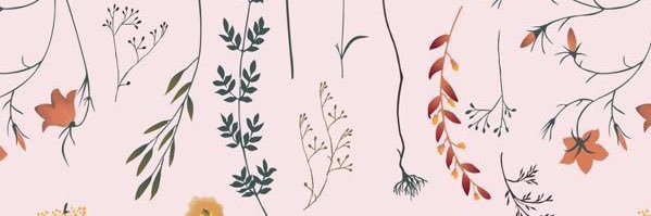 asofiadh's profile banner image