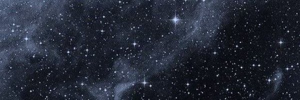 litttlefawn Profile Banner