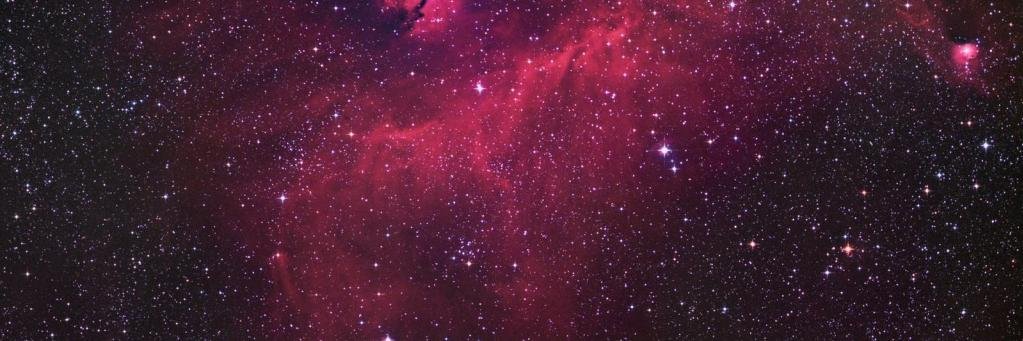 Nerdstatus's profile banner image