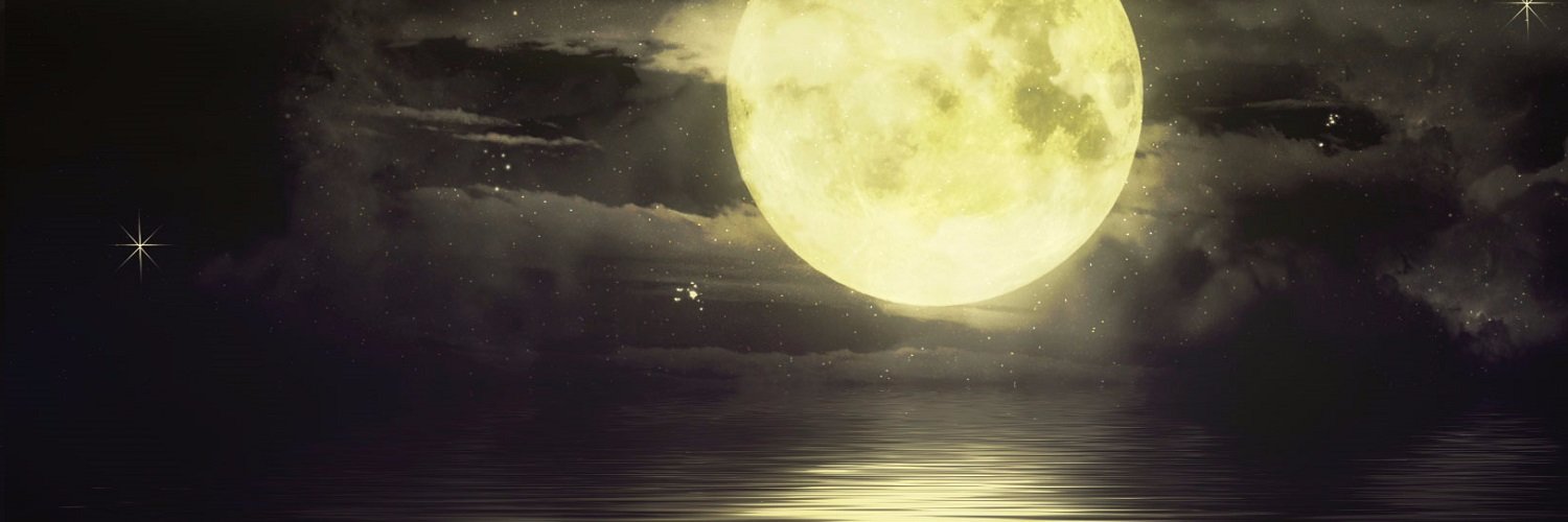 shethin_'s profile banner image