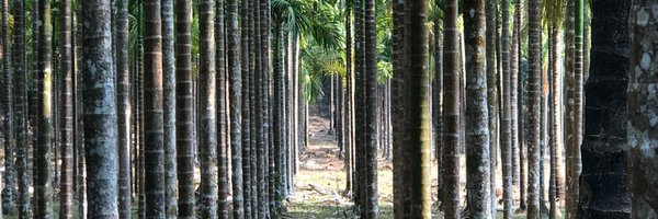 abhijitathavale Profile Banner