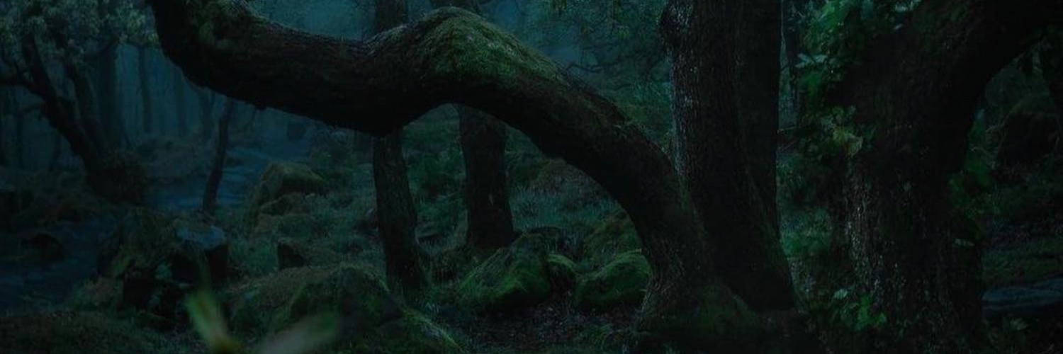 S__Wick's profile banner image