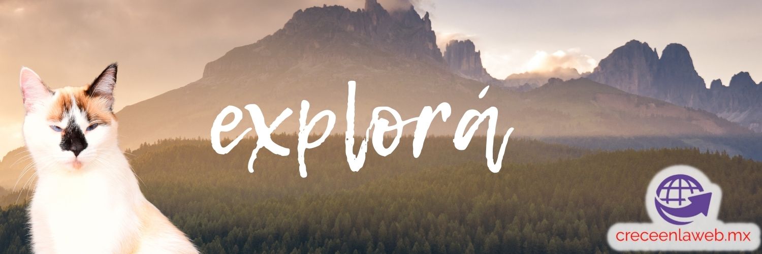 albertodelreal's profile banner image