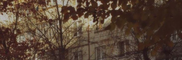 softcarolaird's profile banner image