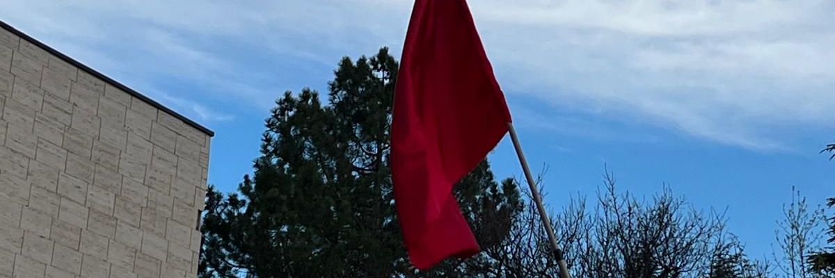 Sinem banner