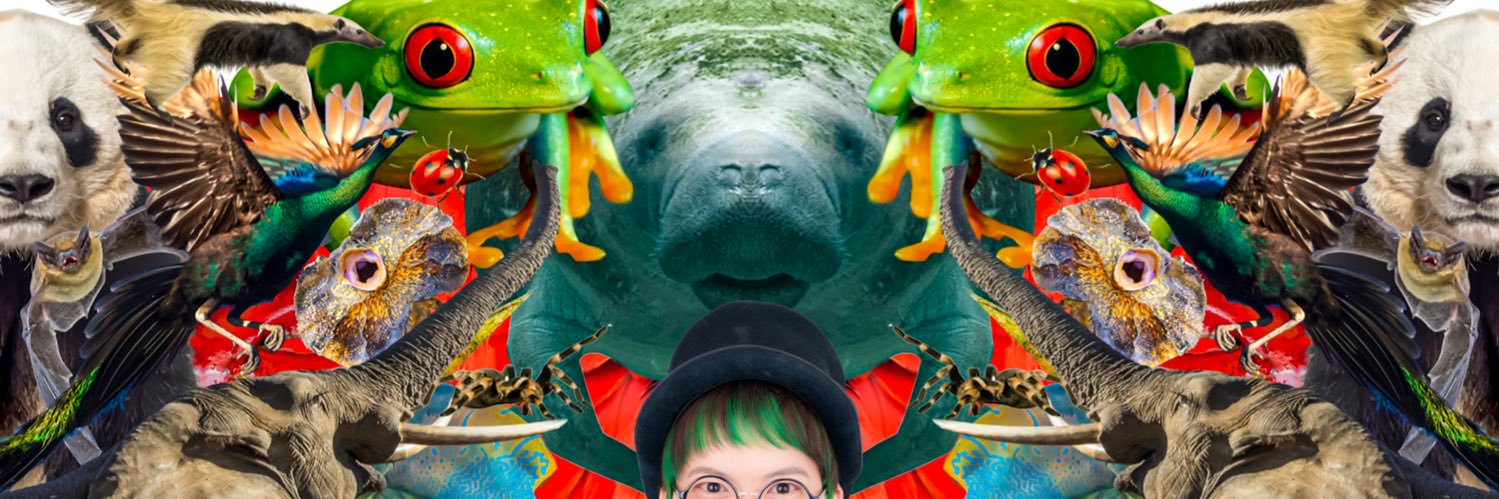 タクトくん banner