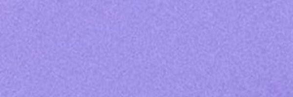 bloomingshinep Profile Banner