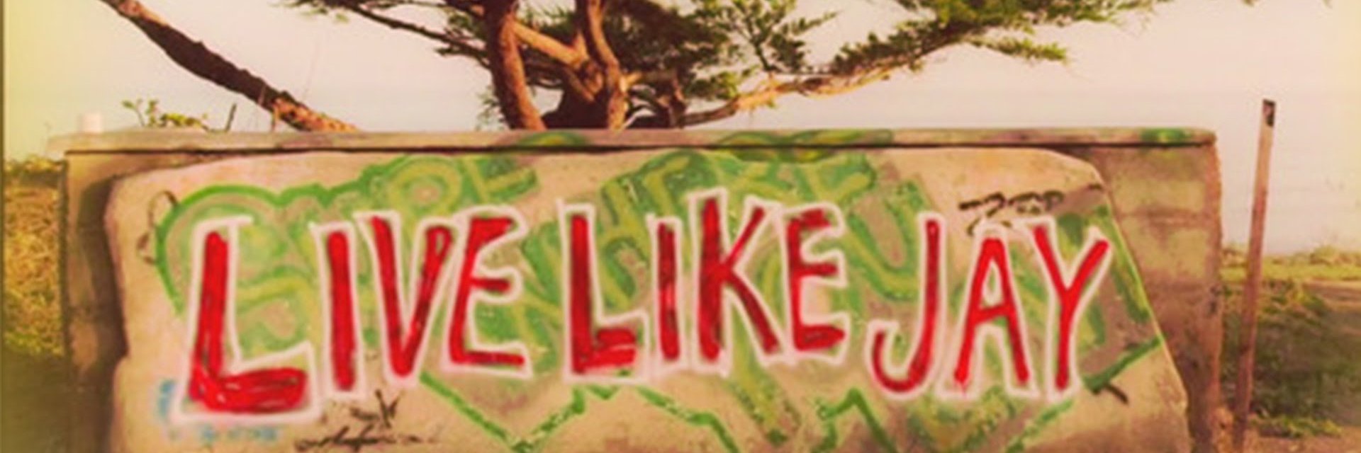 Solarbluez's profile banner image