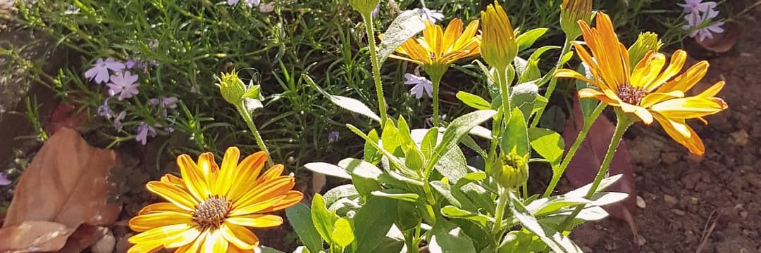 MariaYorks's profile banner image