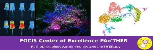 FOCIS-Center-of-Excellence(FCE)-PAn'THER banner