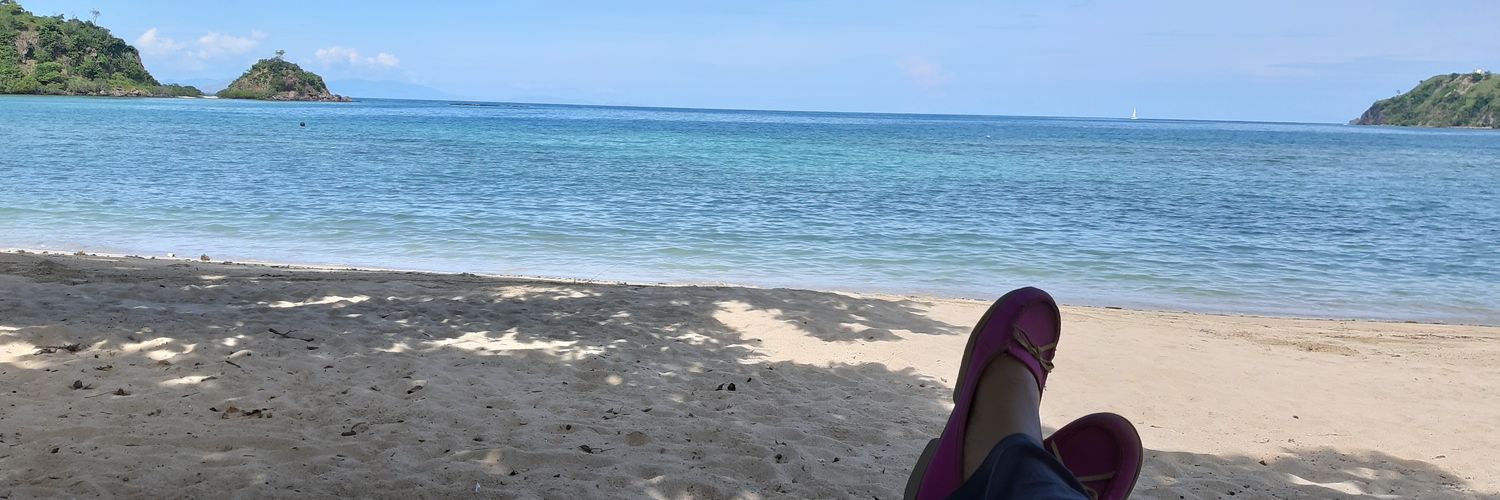 fey_ra's profile banner image