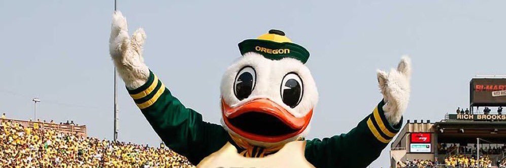 Mighty Duck Squirtle banner