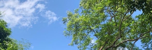 Alice Campbell banner