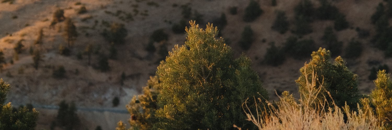 riddbre's profile banner image