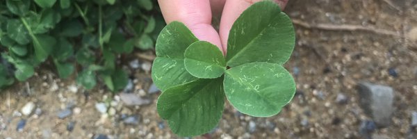 InhyaeC86013 Profile Banner