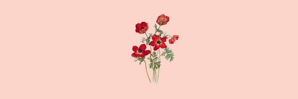 YusLabastida's profile banner image