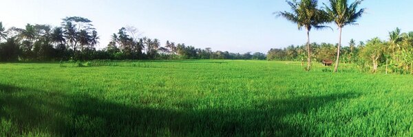 Herdi Profile Banner
