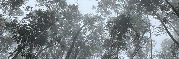 HTaArch's profile banner image