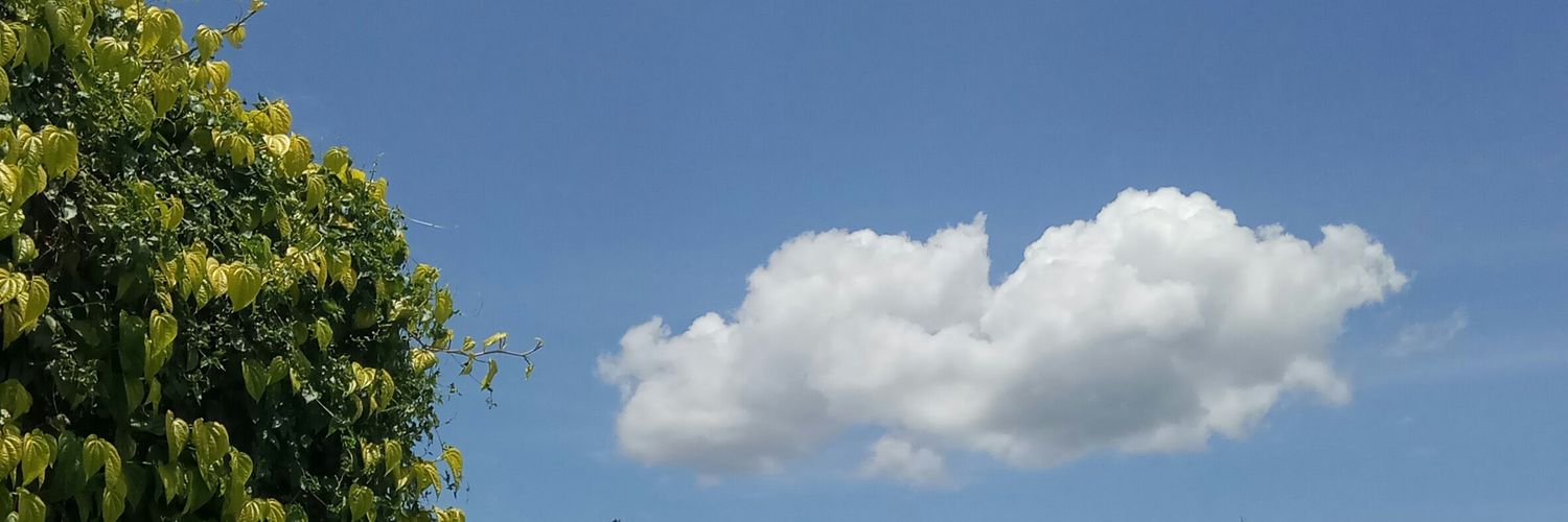 ekspektasimu's profile banner image