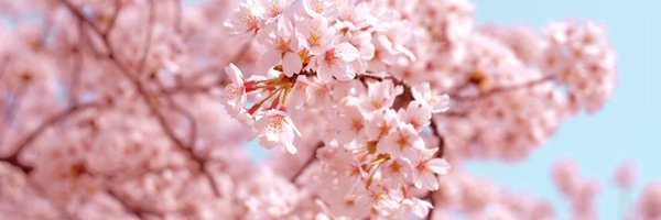 DayNap80337 Profile Banner