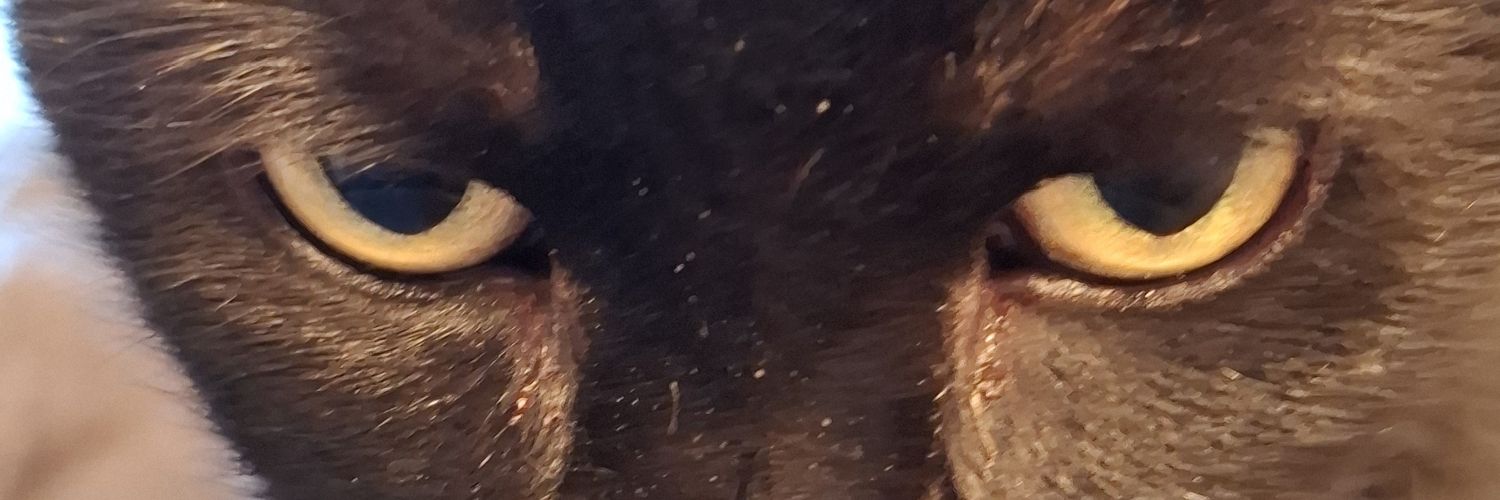 Ruth S 🟣🙏✝️🏴󠁧󠁢󠁥󠁮󠁧󠁿🇬🇧🎗🇮🇱 banner