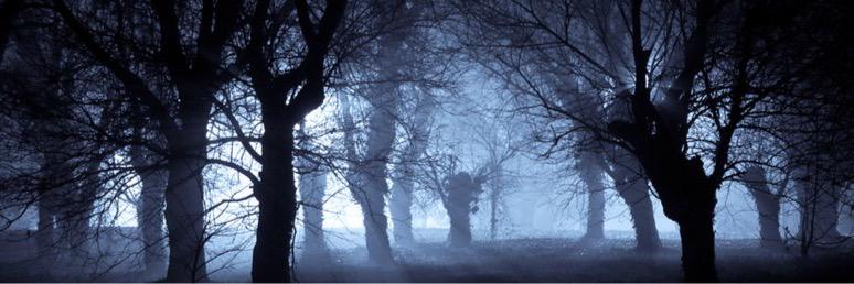 mcoughran77's profile banner image