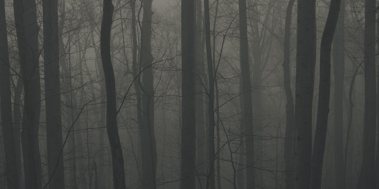 drippingfist's profile banner image