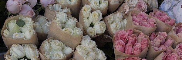 pdminee Profile Banner