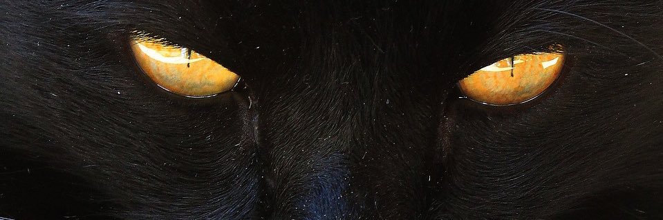 Pedrohs03_'s profile banner image