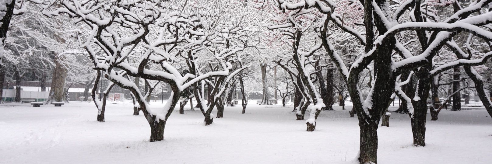 耶律 葉渓(やりつ ようけい) banner