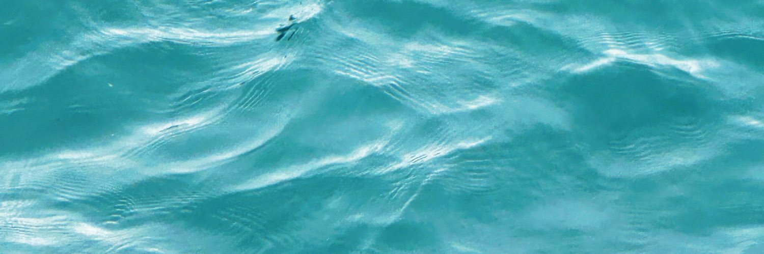 Sleepper banner