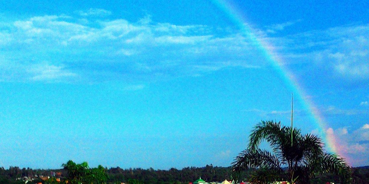 wivindava's profile banner image