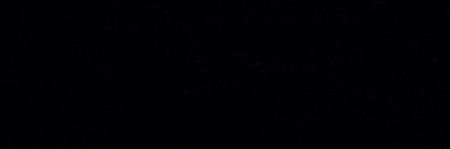 L. banner