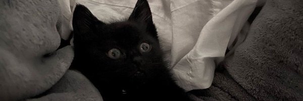 mira_frags Profile Banner