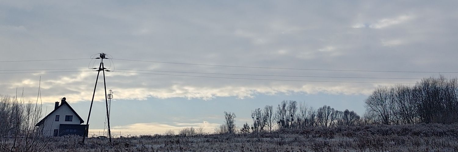 diarprido's profile banner image
