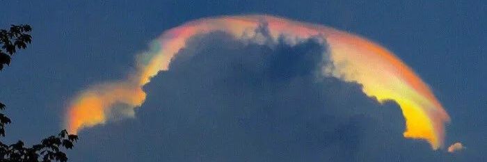 星梦🍥🏳️‍⚧️(先天不孕) banner