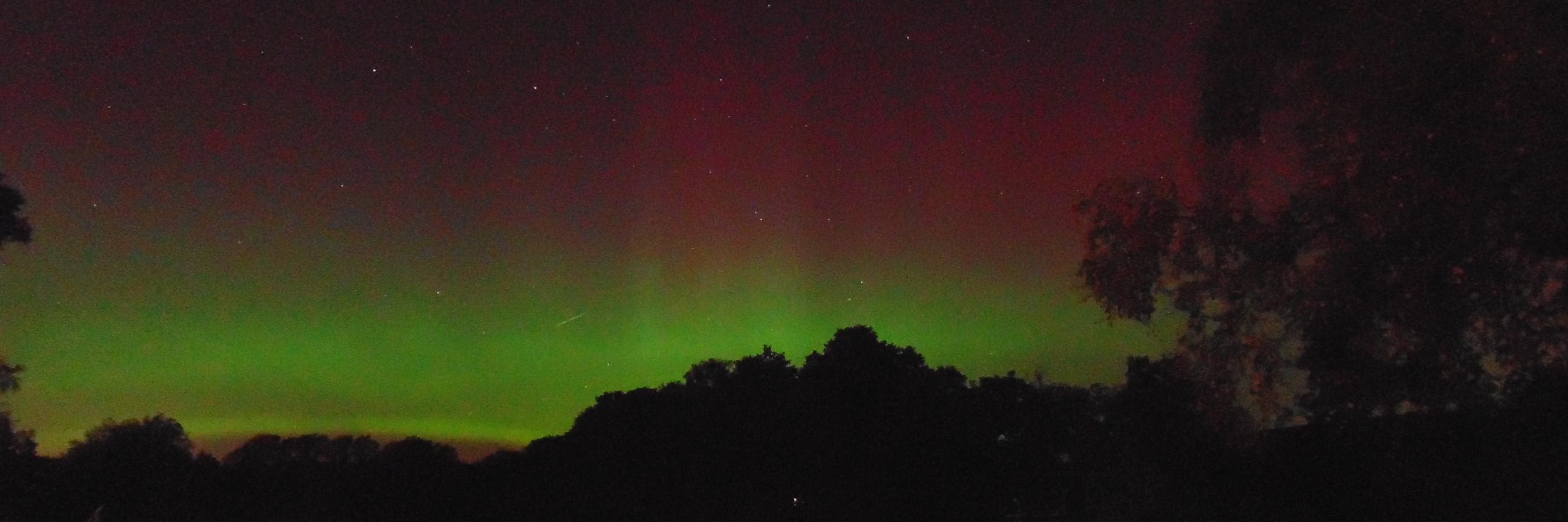 Geraint Johnes banner